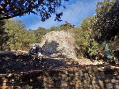 183 HYERES ET SES PALMIERS D03_000011